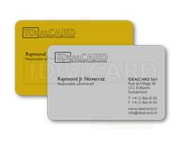 Cartes PVC argent/or